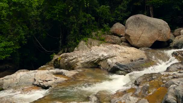 Mountain river flowing in rainforest. Endless meditative video, stream in tropical exotic jungle forest. Creek flow in deep wood among stones. Cascades of waterfall, greenery and trees. Seamless loop — Stock Video