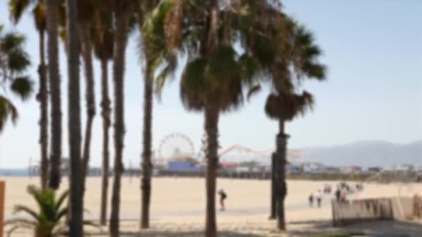 Kalifornijska estetyka plażowa, ludzie jeżdżą rowerami po ścieżce rowerowej. Zamazane, nieostre tło. Park rozrywki na molo i palmy w Santa Monica american Pacific Ocean Resort, Los Angeles CA USA — Wideo stockowe