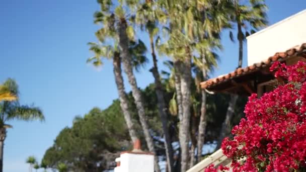 Mexikansk kolonialstil förort, latinamerikansk hus exteriör, grön lummig trädgård, San Diego, Kalifornien USA. Medelhavet terrakotta keramiska lertegel på taket. Rustikt spanskt kaklat tak. Landsbygdsdetaljer — Stockvideo