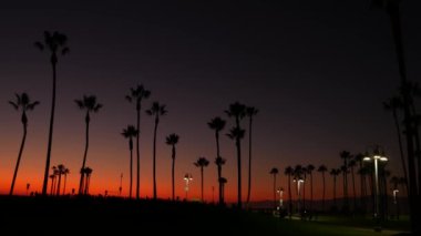 Kaliforniya yaz aylarında alacakaranlık estetik, mor dramatik günbatımı. Santa Monica Pasifik Okyanus Oteli, Los Angeles CA USA 'deki ünlü Venice plajındaki palmiye ağacı siluetleri. Atmosferik günbatımı
