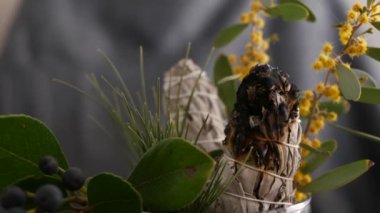 Kurutulmuş beyaz adaçayı lekesi, gevşeme ve aromaterapi. Psişik okült ayin, bitkisel şifa, yoga ya da aura temizliği sırasında lekeler. Esrarengiz ayinler ve fal bakımı için temel tütsü