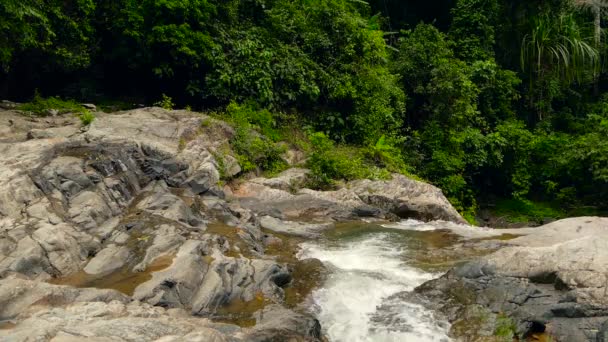 山川在热带雨林中奔流.无尽的冥想视频,流淌在热带奇异的丛林中.溪流在石头中间的深木中流动.瀑布、绿叶和树木层叠成行.无缝圈 — 图库视频影像