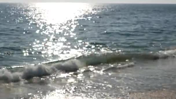 Kalifornien sommar strand estetiska, suddig defocused vatten våg. Glänsande solbana och solljus. Santa Monicas fridfulla badort. Drömlik lugn dunkel bakgrund. Oklart lugnt idylliskt hav — Stockvideo
