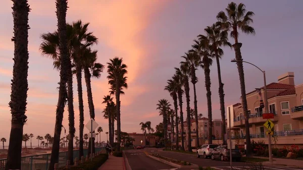 Oceanside California Usa Ocak 2020 Palmiye Silueti Alacakaranlık Gökyüzü Alacakaranlık — Stok fotoğraf