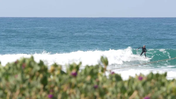 Encinitas Califórnia Eua Fevereiro 2020 Surfistas Oceano Costa Pacífica Grandes — Fotografia de Stock