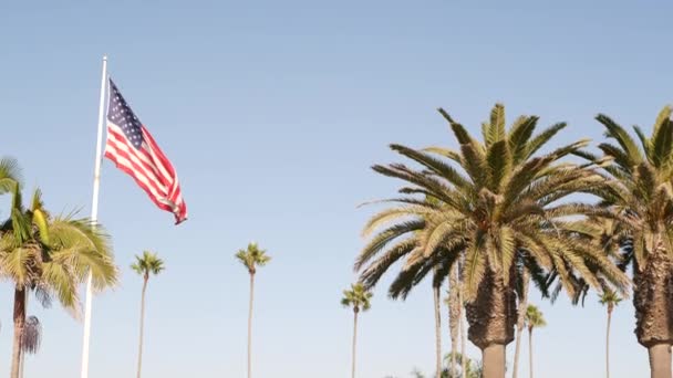 Palms és amerikai zászló, Los Angeles, Kalifornia USA. Nyári esztétika Santa Monica és Velence Beach. Csillagos zászló, csillagok és csíkok. A hazafiasság légköre Hollywoodban. Régi dicsőség. — Stock videók