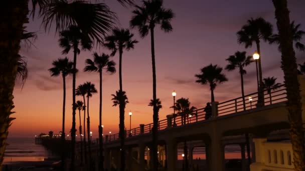 Palmy a soumračná obloha v Kalifornii USA. Tropický oceán pláž západ slunce atmosféru. Los Angeles vibes. — Stock video