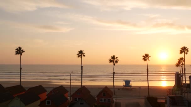 Palms and sunset sky, California aesthetic. Los Angeles vibes. Lifeguard watchtower, watch tower hut — Stock Video