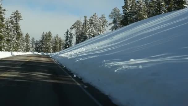 Śnieg w wietrznym lesie, jazda samochodem, wycieczka zimą w Utah USA. Drzewa iglaste, widok z przedniej szyby samochodu. Święta Bożego Narodzenia, grudniowa podróż do Bryce Canyon. Turystyka ekologiczna do lasów — Wideo stockowe