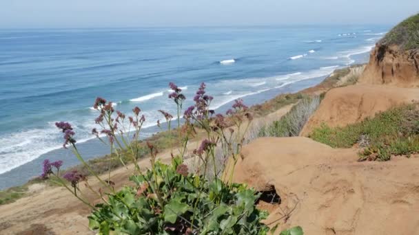 Seascape vista point, Del Mar Torrey Pines, costa da Califórnia EUA. Maré oceânica, vista para o mar azul — Vídeo de Stock