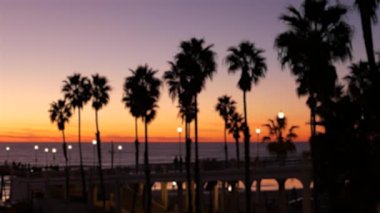 Odaklanamayan palmiyeler, alacakaranlık gökyüzü, Kaliforniya ABD. Tropik plaj günbatımı atmosferi. Los Angeles titreşimleri.