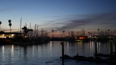 Kaliforniya 'daki rıhtımdaki Sea Lion Rookery' de. Kaliforniya okyanus kıyısı yaban hayatı. Deniz kıyısında vahşi fok..