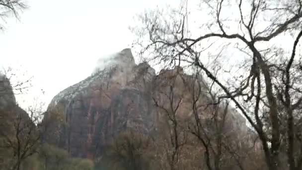 Vägresa, bilkörning i Zion Canyon, Utah, USA. Liftar i Amerika, höstresa. Röda utomjordiska branta klippor, regn och kala träd. Foggy väder och lugn höst atmosfär. Utsikt från bilen — Stockvideo