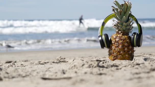 Kulaklıklı ananas, kumlu okyanus sahili. Tropik yaz egzotik meyveleri. Ananas kıyıda. — Stok video