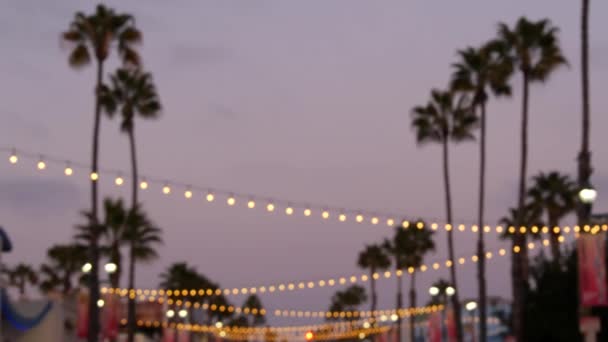 Electric garland, palm tree California USA Береговий захід, сутінки. Лос-Анджелес. — стокове відео