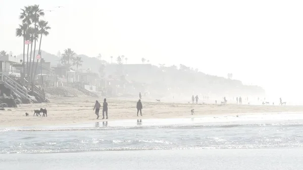 Men and women on dog friendly ocean beach. People walking and training pets. Del Mar, California USA — Stock Photo, Image