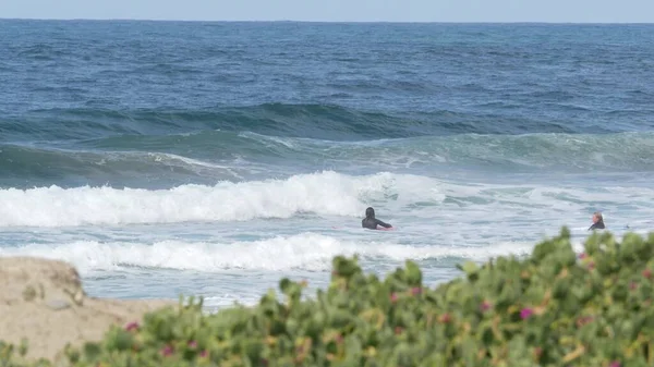 Surfistas no oceano, ondas de água do mar da costa pacífica. Pessoas surfando com pranchas de surf na Califórnia. — Fotografia de Stock