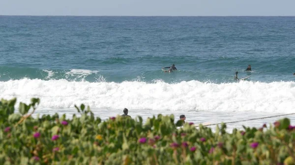 Surfistas en el océano, costa pacífica olas de agua de mar. Gente surfeando con tablas de surf en México. — Foto de Stock