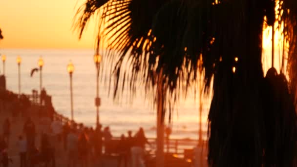 Mensen lopen, houten pier in Californië USA. Oceanside waterkant vakanties toeristisch resort. — Stockvideo