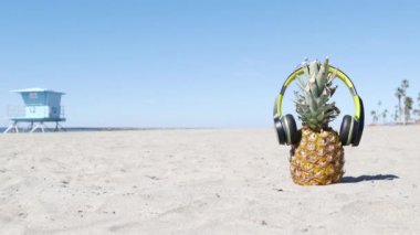 Kulaklıklı ananas, kumlu okyanus sahili. Tropik yaz egzotik meyveleri. Ananas kıyıda.