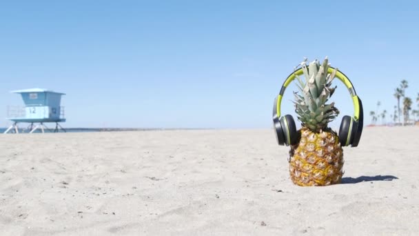 Piña en auriculares, costa de playa de arena oceánica. Fruta exótica tropical de verano. Ananas en la orilla. — Vídeos de Stock