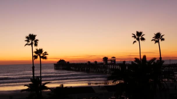 カリフォルニア州のヤシと夕暮れの空米国。熱帯の海のビーチ日没の雰囲気。ロサンゼルスの波. — ストック動画