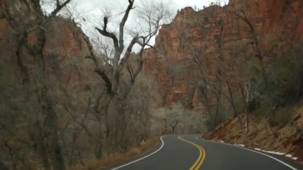 Road trip, autorijden in Zion Canyon, Utah, USA. Hitchwalking reizen in Amerika, herfst reis. Rode buitenaardse steile kliffen, regen en kale bomen. Mistig weer en kalme herfstsfeer. Zicht vanuit auto — Stockvideo