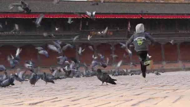 Bhaktapur Kathmandu Nepal Október 2018 Kid Chasing Birds City Square — Stock videók