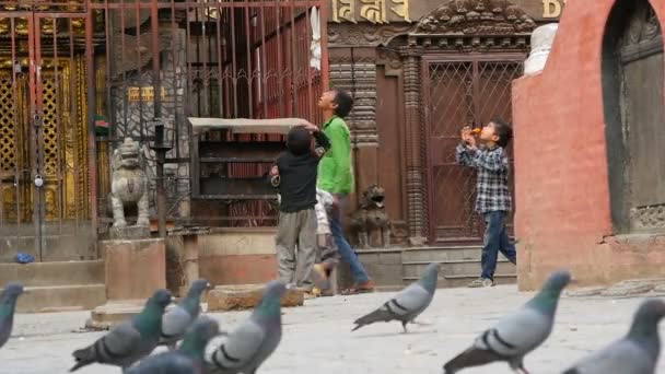 Kathmandu Nepal 2018年10月8日孩子们在寺庙正方形上玩耍 孩子们在寺庙附近的广场上玩气球 鸟儿在人行道上 Swayambhunath Stupa — 图库视频影像