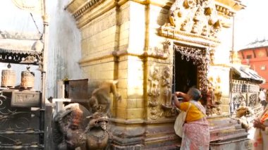 KATHMANDU, NEPAL - 8 EKİM 2018 Kadın tapınakta dini ayinler yapıyor. Küçük meraklı maymun tapınakta ayin yapan yaşlı kadını rahatsız ediyor. Swayambhunath Stupa