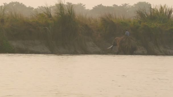 Chitwan National Park Sauraha Nepal Oktober 2018 Mahout Reitet Auf — Stockvideo
