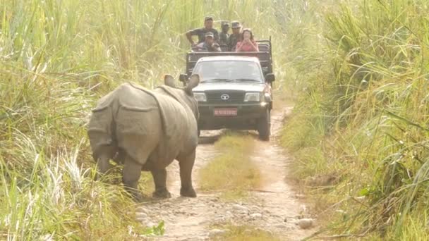 Chitwan National Park Nepal Oktober 2018 Toeristen Auto Indiase Eenhoornige — Stockvideo