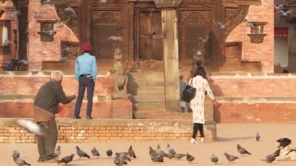 Bhaktapur Kathmandu Nepal Oktober 2018 Mann Füttert Tauben Auf Dem — Stockvideo