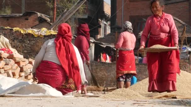 Bhaktapur Kathmandu Nepal October 2018アジアの高齢女性は伝統的な方法で穀物を乾燥 ふるい分け 脱穀します 地震後の日常生活 東洋の古代都市 人々は勝利し収穫する — ストック動画
