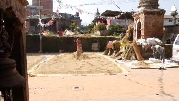 Bhaktapur Kathmandu Nepal Octubre 2018 Mujeres Asiáticas Envejecidas Secando Tamizando — Vídeo de stock