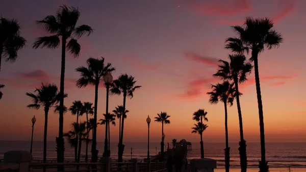 Palmeras y cielo crepuscular en California EE.UU. Ambiente de atardecer en la playa tropical oceánica. Los Ángeles vibraciones. —  Fotos de Stock