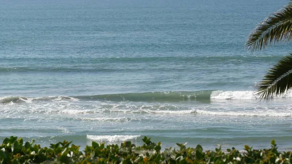 Marea del Océano Pacífico, California Beach USA. Olas marinas y palmeras en un día soleado. Vacaciones de verano. — Foto de Stock