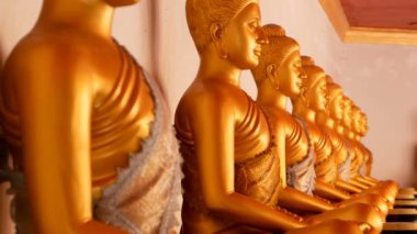 Bağışlar için kaseler aydınlanmışların ayaklarının dibinde duruyor. Meditasyon pozisyonu almış parlak sarı renkli heykeller var. Geleneksel Tayland modellerindeki heykeller için. Tayland Tapınağı 'na bakış açısı