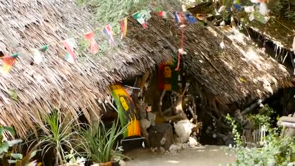 해변에 가지와 초가지에서 자메이카의 나비스 라스타 마리화나 놓는다 노란색 빨간색 — 비디오