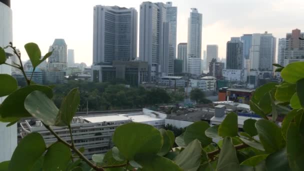 Hojas Verdes Contra Ciudad Metropolitana Primeros Planos Hojas Verdes Del — Vídeos de Stock