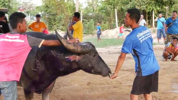 Koh Samui Thailand Maj 2019 Landsbygden Thai Människor Samlas Festivalen — Stockvideo