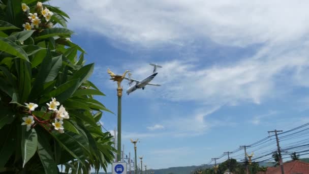 Koh Samui Island Tajlandia Czerwca 2019 Samolot Lądujący Nad Typową — Wideo stockowe