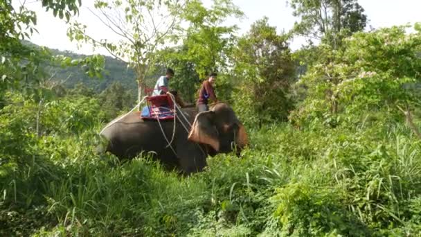 Koh Samui Island Thailand June 2019 Young Asian Man Riding — Stockvideo