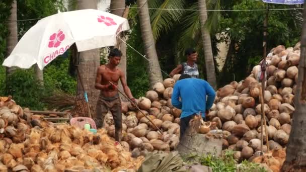 Koh Samui Island Tailandia Julio 2019 Hombres Tailandeses Asiáticos Que — Vídeo de stock