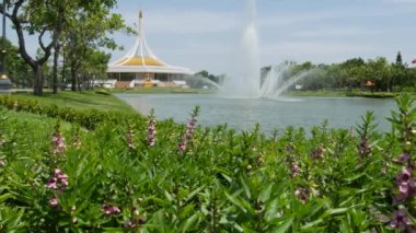 BANGKOK, THAILAND - 12 HAZİRAN, 2019: parktaki pavyonun yanındaki çiçek açan bahçe. Kral Rama IX Parkı 'nda güneşli bir günde, bulutsuz mavi gökyüzü karşısında yeşil ağaçlar ve çiçekler büyüyor.