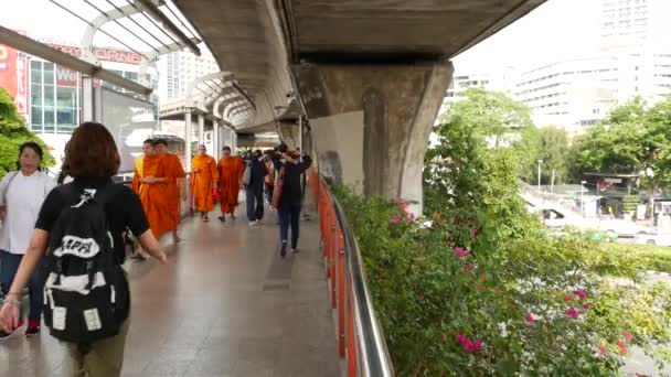 Bangkok Tailandia Julio 2019 Monjes Budistas Caminando Por Camino Abarrotado — Vídeos de Stock