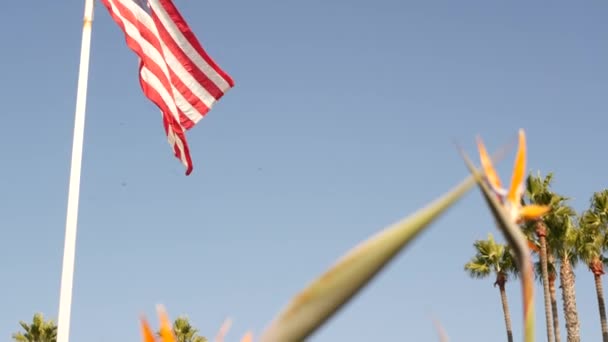 Пальмы и американский флаг, Лос-Анджелес, Калифорния, США. Летняя эстетика Санта-Моники и Венецианского пляжа. Звездно-усыпанное знамя, звезды и полосы. Атмосфера патриотизма в Голливуде. Старая слава — стоковое видео