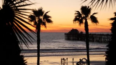 Kaliforniya 'da palmiyeler ve alacakaranlık gökyüzü. Tropik okyanus sahili günbatımı atmosferi. Los Angeles titreşimleri.