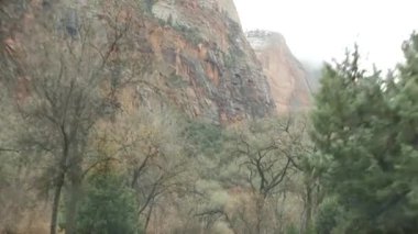 Yolculuk, Zion Canyon, Utah, ABD 'de araba kullanmak. Amerika 'da otostop çekmek, sonbahar seyahati. Kızıl uzaylı sarp kayalıkları, yağmur ve çıplak ağaçlar. Sisli hava ve sakin düşüş atmosferi. Arabadan görüntüle