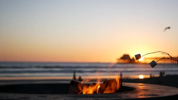 Parque de campismo na Califórnia EUA. Fogo de acampamento na praia do mar oceano, assar marshmallow torrada na fogueira. — Vídeo de Stock